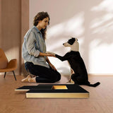 The Pawtique Scratch Board — Clipper-Free Nail Care